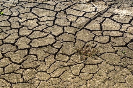Africa famine hunger