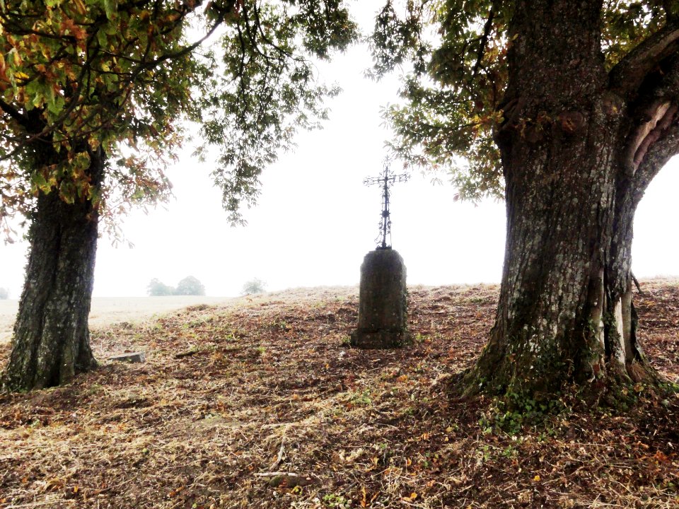 Jouy-en-Argonne (Meuse) croix de chemin