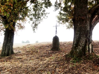 Jouy-en-Argonne (Meuse) croix de chemin
