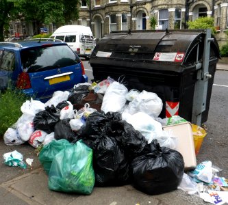 June 2013 Bin Strike in Brighton and Hove (Street Bin at Eaton Gardens, Hove) (1)