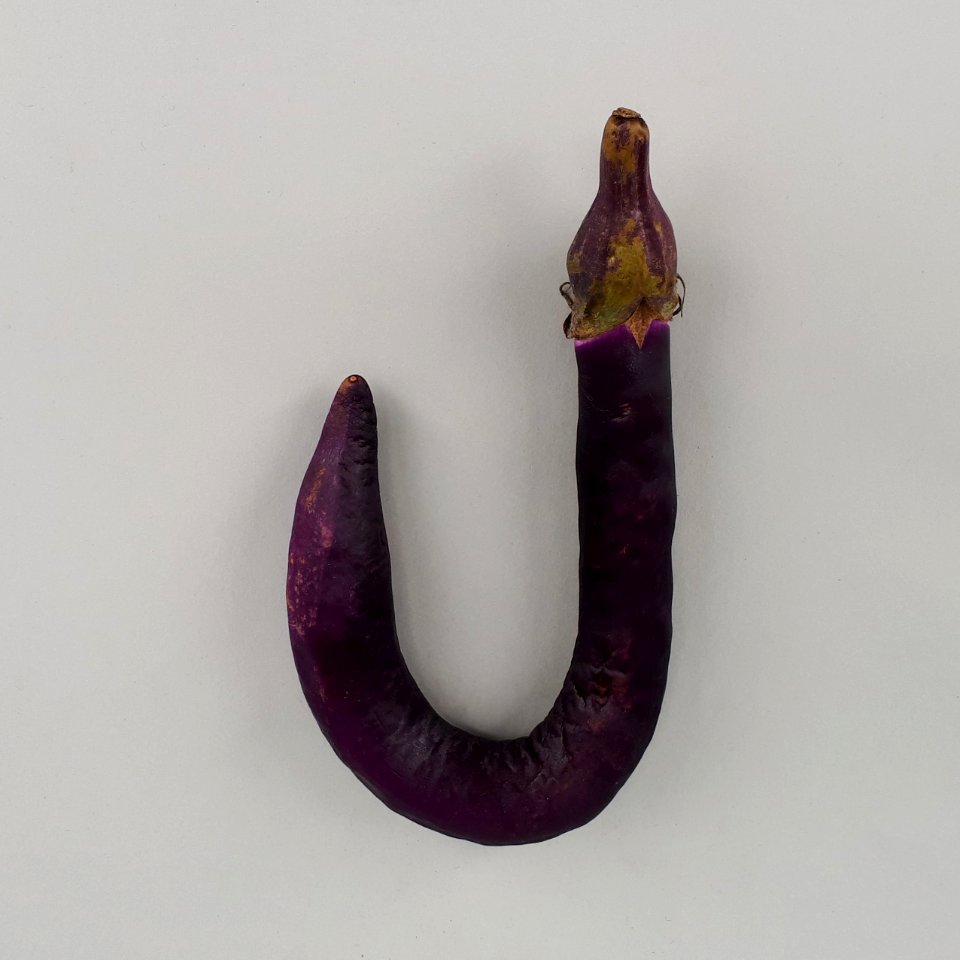 J-shaped Orient Charm eggplant 2017 A1