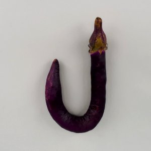 J-shaped Orient Charm eggplant 2017 A1