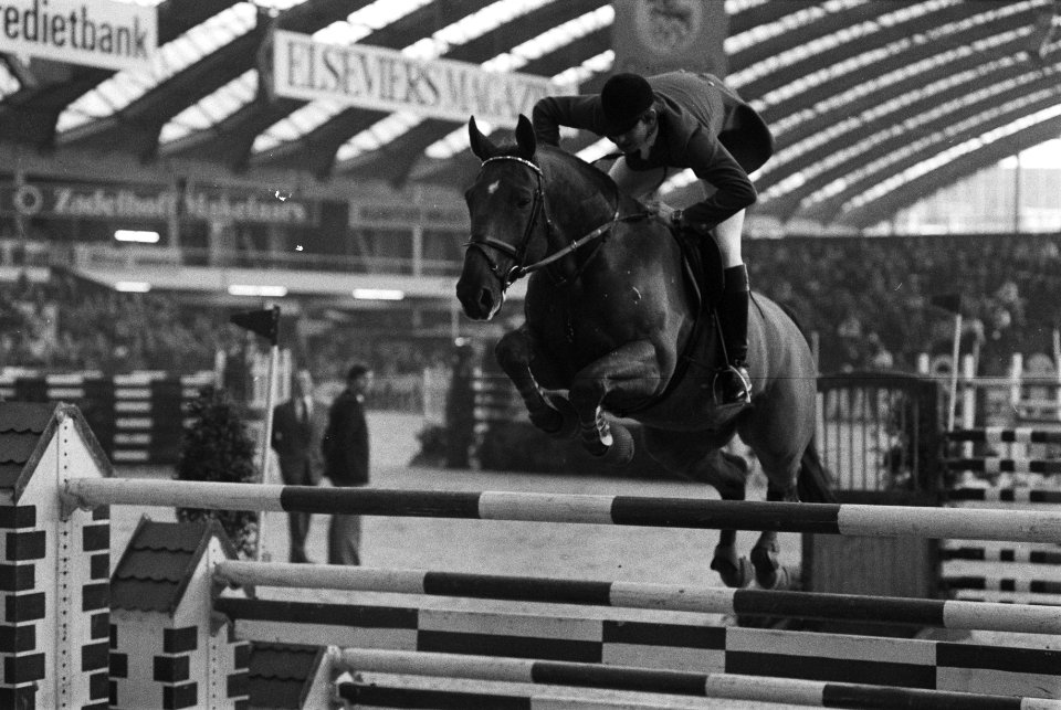 Jumping Amsterdam, Westduitse Franke Sloothaak met paard Argonaut als 1e geeindi, Bestanddeelnr 931-1377