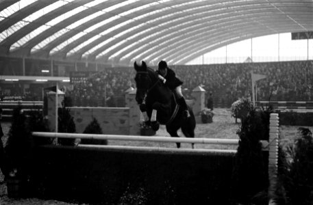 Jumping Amsterdam, jachtspringconcours om de grote prijs Nederland, Bestanddeelnr 914-4539