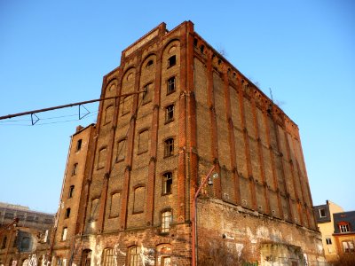 Jungbusch 03