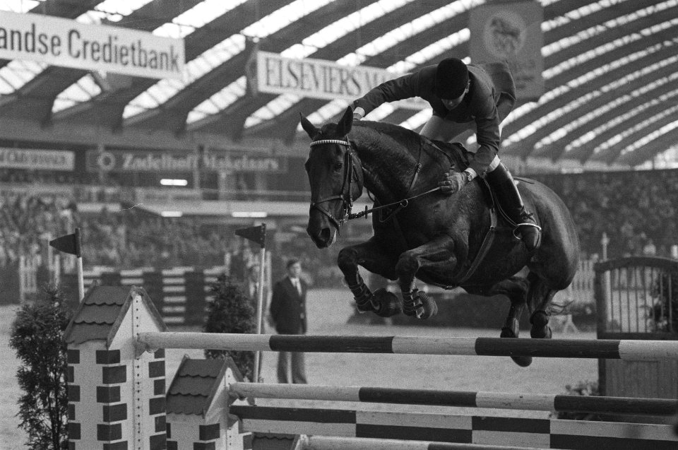 Jumping Amsterdam, Walter Gabathuler uit Zwitserland met paard Harley, Bestanddeelnr 931-1381