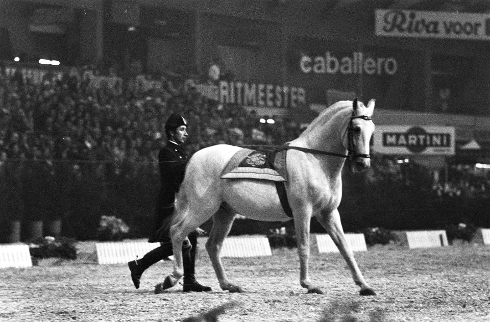 Jumping Amsterdam , in RAI twee ruiters van Spaanse Rijschool uit Wenen in akti, Bestanddeelnr 923-9734