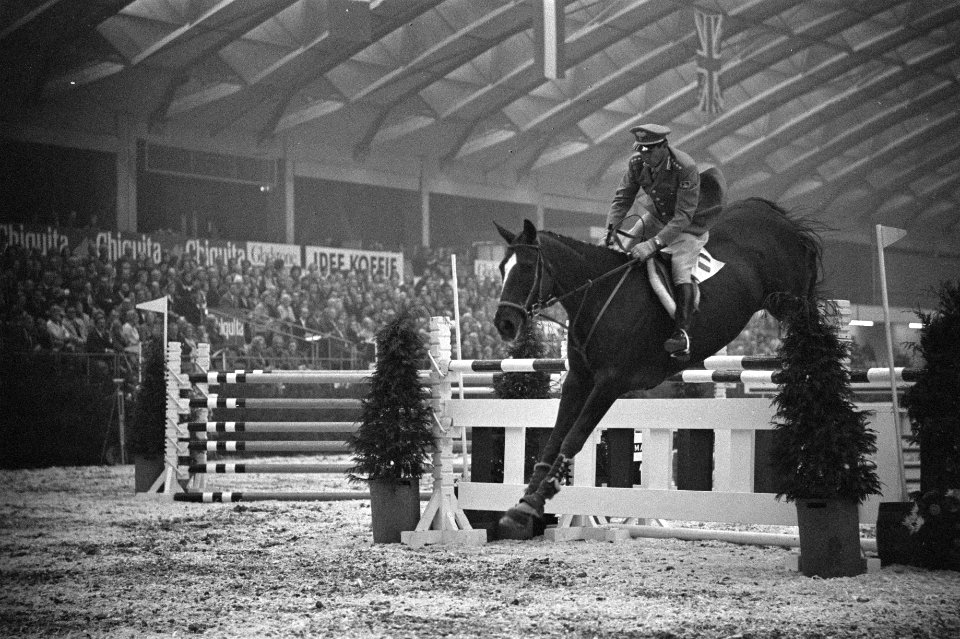 Jumping Amsterdam Raymondo DInzeo in aktie (Italie), Bestanddeelnr 921-8227