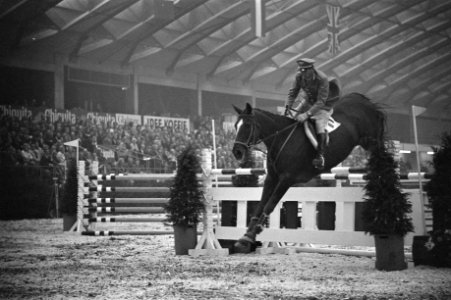 Jumping Amsterdam Raymondo DInzeo in aktie (Italie), Bestanddeelnr 921-8227