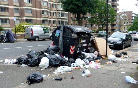 June 2013 Bin Strike in Brighton and Hove (Street Bin at Eaton Gardens, Hove) (4)