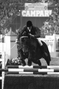 Jumping Amsterdam Henrich Hulzebos met paard dr Doolittle, Bestanddeelnr 929-4147