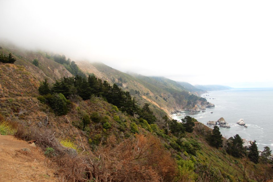 Julia Pfeiffer Burns State Park Vista Point, Big Sur Aug 2019 1