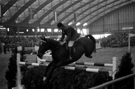 Jumping Amsterdam, jachtspringconcours om de grote prijs Nederland, neg. nr. 19, Bestanddeelnr 914-4541