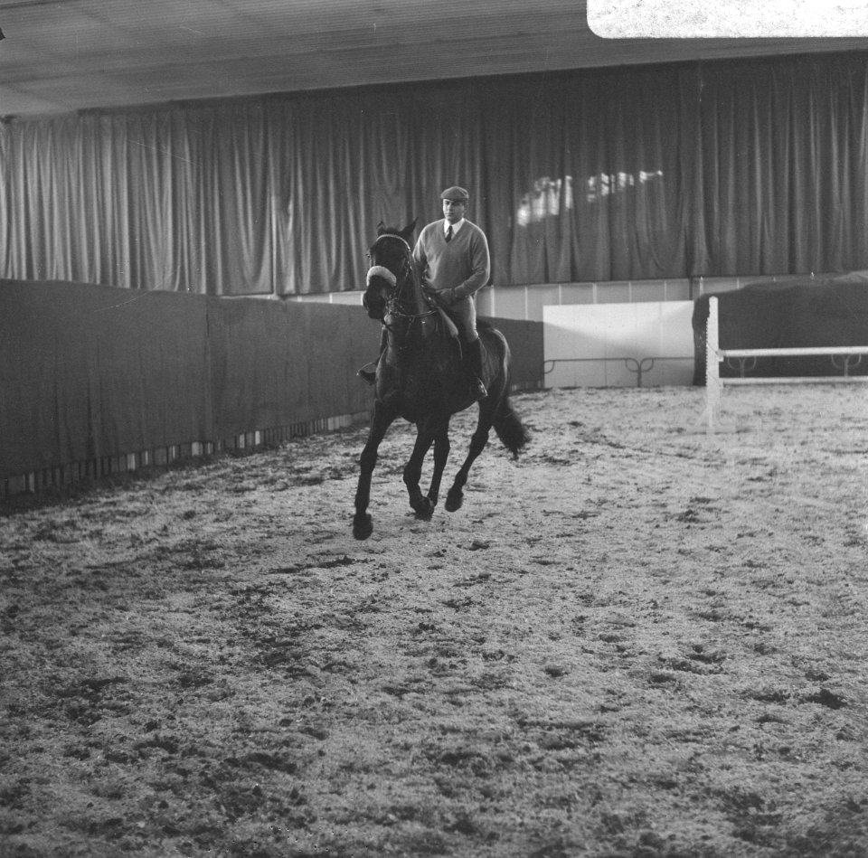 Jumping Amsterdam Anton Ebben op Kairouan, training, Bestanddeelnr 921-8149