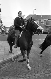 Jumping Amsterdam in RAI voorbereidingen David Bronne (Engeland) te paard (Man, Bestanddeelnr 923-9605