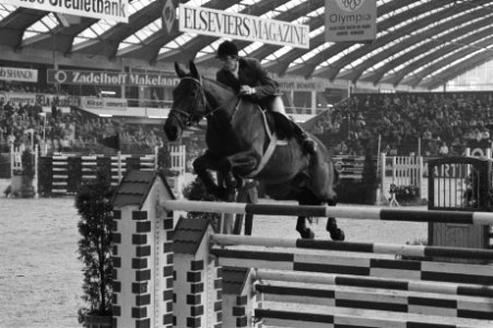 Jumping Amsterdam, John Whitacker uit Engeland met paard Rushreen, Bestanddeelnr 931-1378