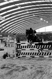 Jumping Amsterdam winnaar Hugo Simon in actie, Bestanddeelnr 929-9789