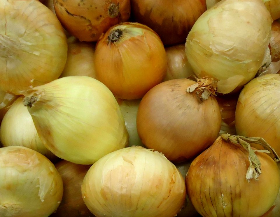 Jumbo Spanish onions for sale in supermarket
