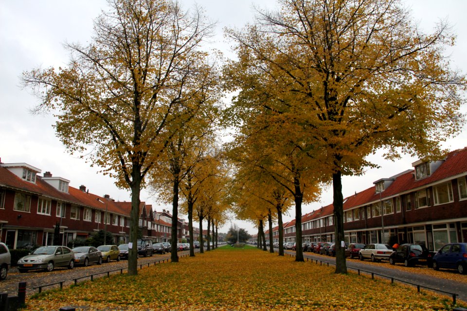 Julianaweg Hoograven Utrecht