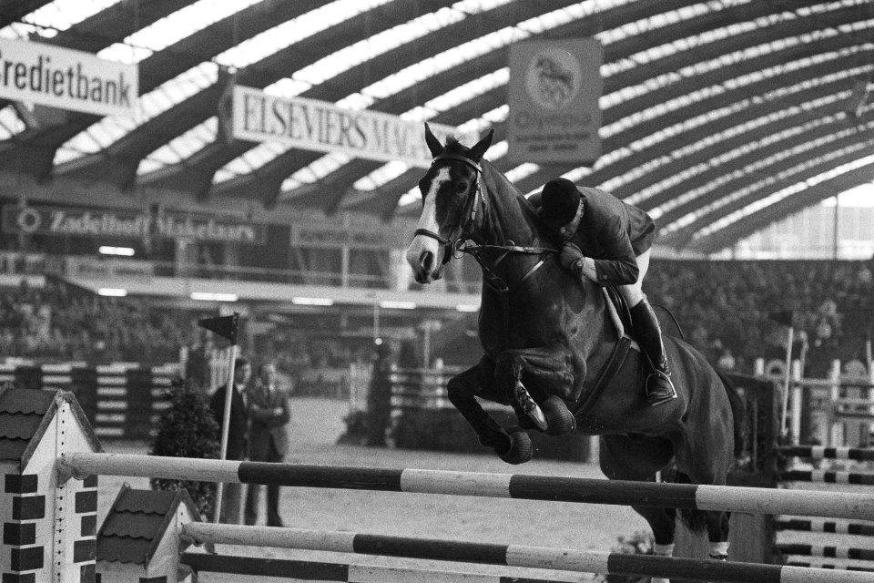 Jumping Amsterdam, Anton Ebben uit Nederland met paard Jumbo Design, Bestanddeelnr 931-1380