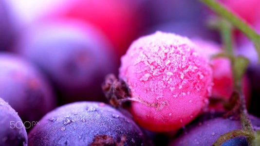 Juste Close Up (206684033)