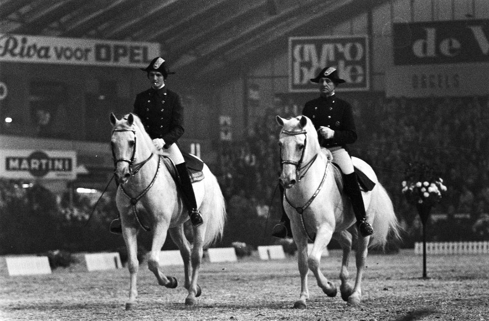 Jumping Amsterdam , in RAI twee ruiters van Spaanse Rijschool uit Wenen in akti, Bestanddeelnr 923-9731