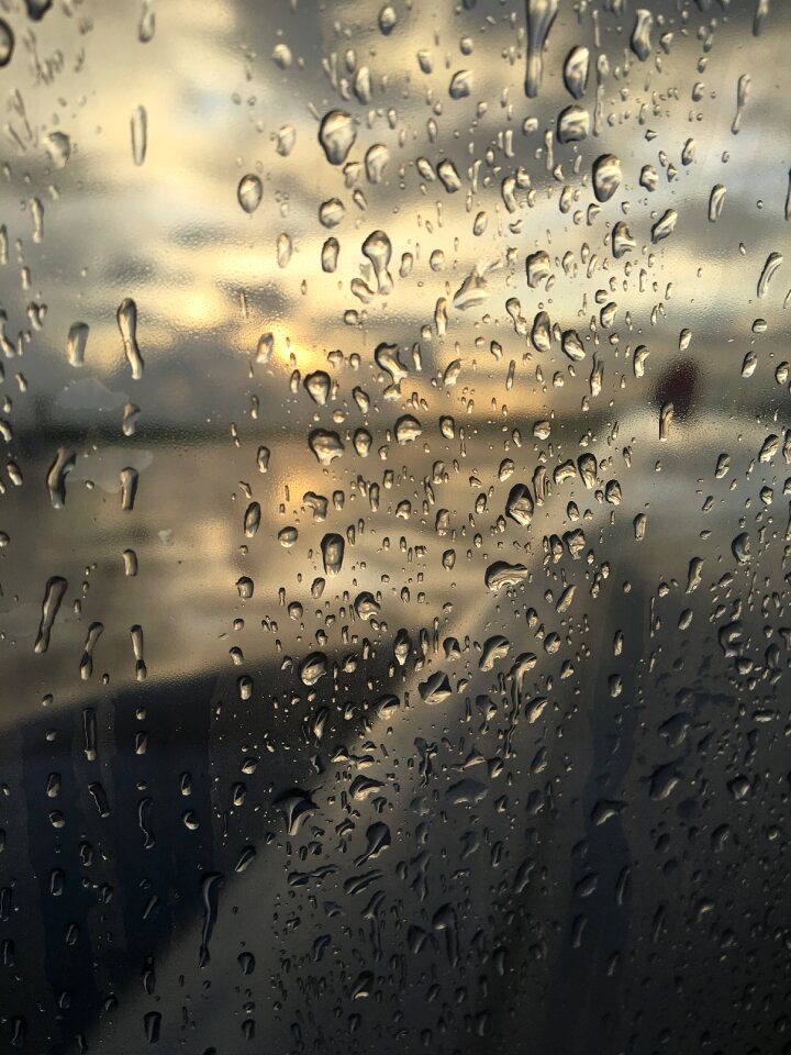 Rain water drops