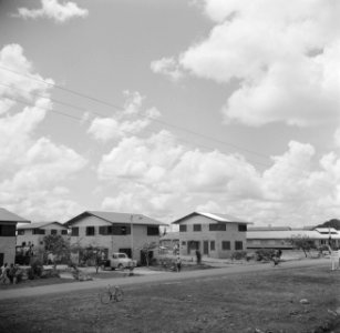 Julianadorp in Nickerie, Bestanddeelnr 252-4605