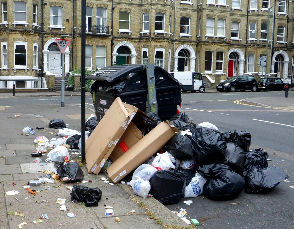 June 2013 Bin Strike in Brighton and Hove (Street Bin at Eaton Gardens, Hove) (3)