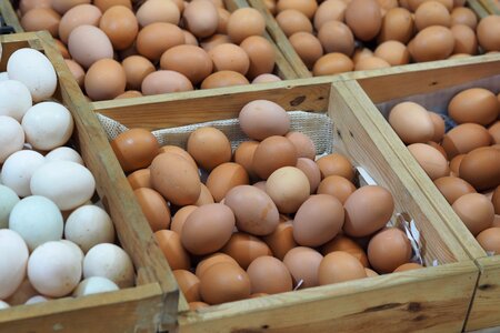 Food raw materials nature