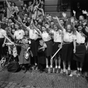 Juichend publiek, Bestanddeelnr 900-5004