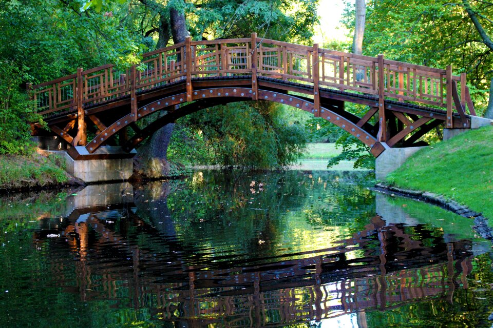 River reflections lake