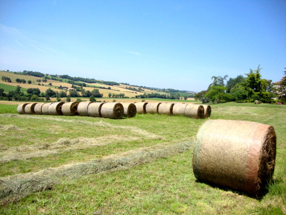 Juilles (Gers, Fr) paysage 1