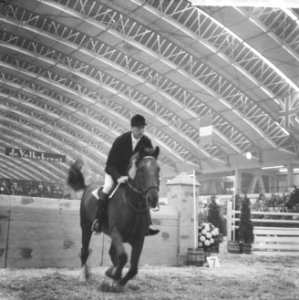 Jumping Amsterdam, winnaar van de eerste dag, de Ier T. Brennan op Killrush, Bestanddeelnr 914-4496