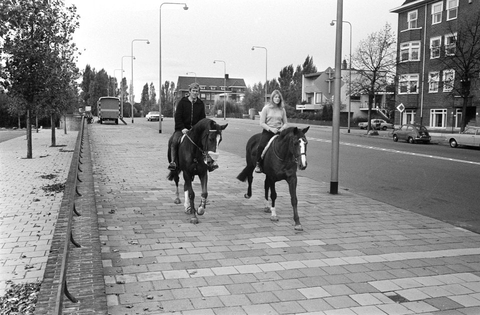 Jumping Amsterdam in RAI voorbereidingen, Bestanddeelnr 923-9607