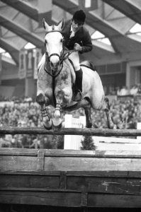 Jumping Amsterdam in RAI 18, 19P Steenken (BRD) in aktie op Ecle, Bestanddeelnr 928-2489