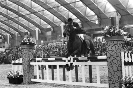 Jumping Amsterdam in de RAI, ruiters in actie, Bestanddeelnr 917-1805