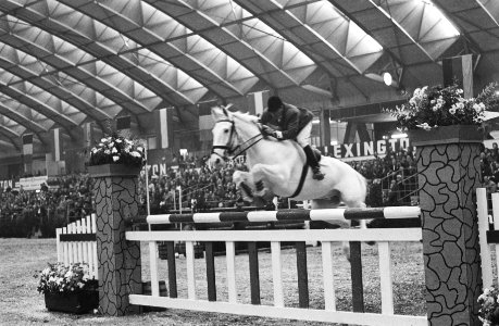 Jumping Amsterdam in de RAI, ruiters in actie, Bestanddeelnr 917-1807