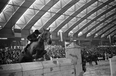 Jumping Amsterdam in de RAI, Seamus Hayes met Goodbye tijdens de wedstrijd, Bestanddeelnr 917-1803