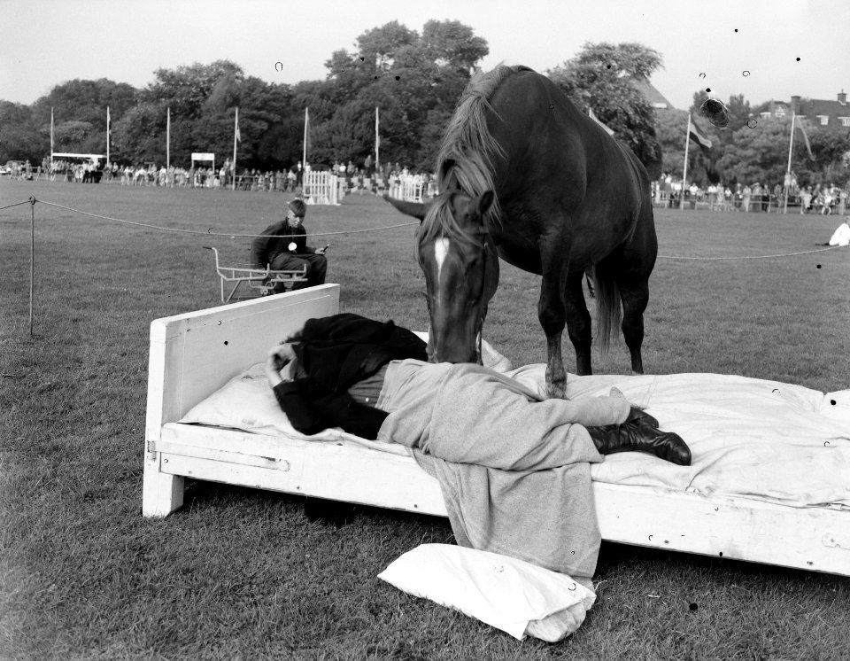 Jubileum Concours Hippique Den Haag , Jan de Wit met gedresseerde paarden, Bestanddeelnr 907-2859