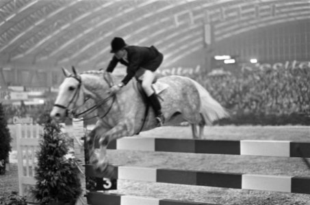 Jumping Amsterdam. Alwin Schockemöhle met Donald Rex in aktie, Bestanddeelnr 921-8254