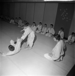 Judoserie, Bestanddeelnr 912-0142