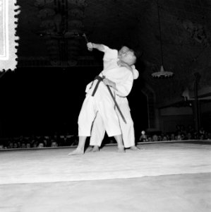 Judoserie, Bestanddeelnr 908-6063