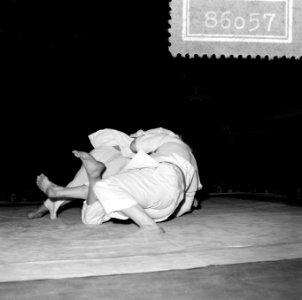 Judoserie, Bestanddeelnr 908-6057