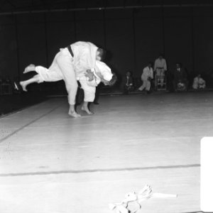 Judo, Nederland tegen Engeland te Den Haag, Bestanddeelnr 920-1696