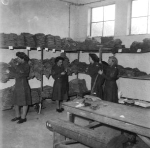 Julianakamp Kijkduin (VHK) Luitenant Vennix, Bestanddeelnr 903-0533