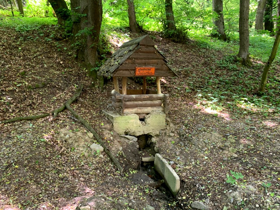 Julianka Spring, Košice-okolie, SK