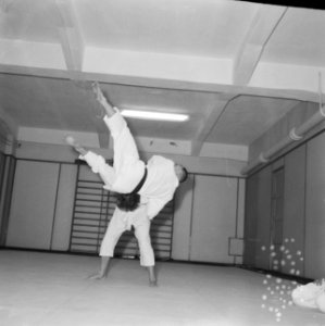 Judoserie met Tweede Kamer lid Mevrouw van Someren, Bestanddeelnr 912-1441
