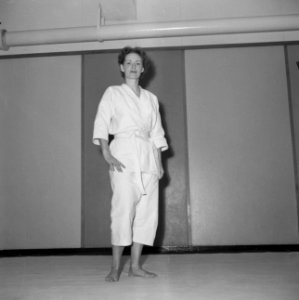 Judoserie met Tweede Kamer lid Mevrouw van Someren, Bestanddeelnr 912-1429