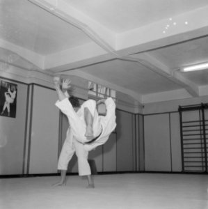 Judoserie met Tweede Kamer lid Mevrouw van Someren, Bestanddeelnr 912-1432